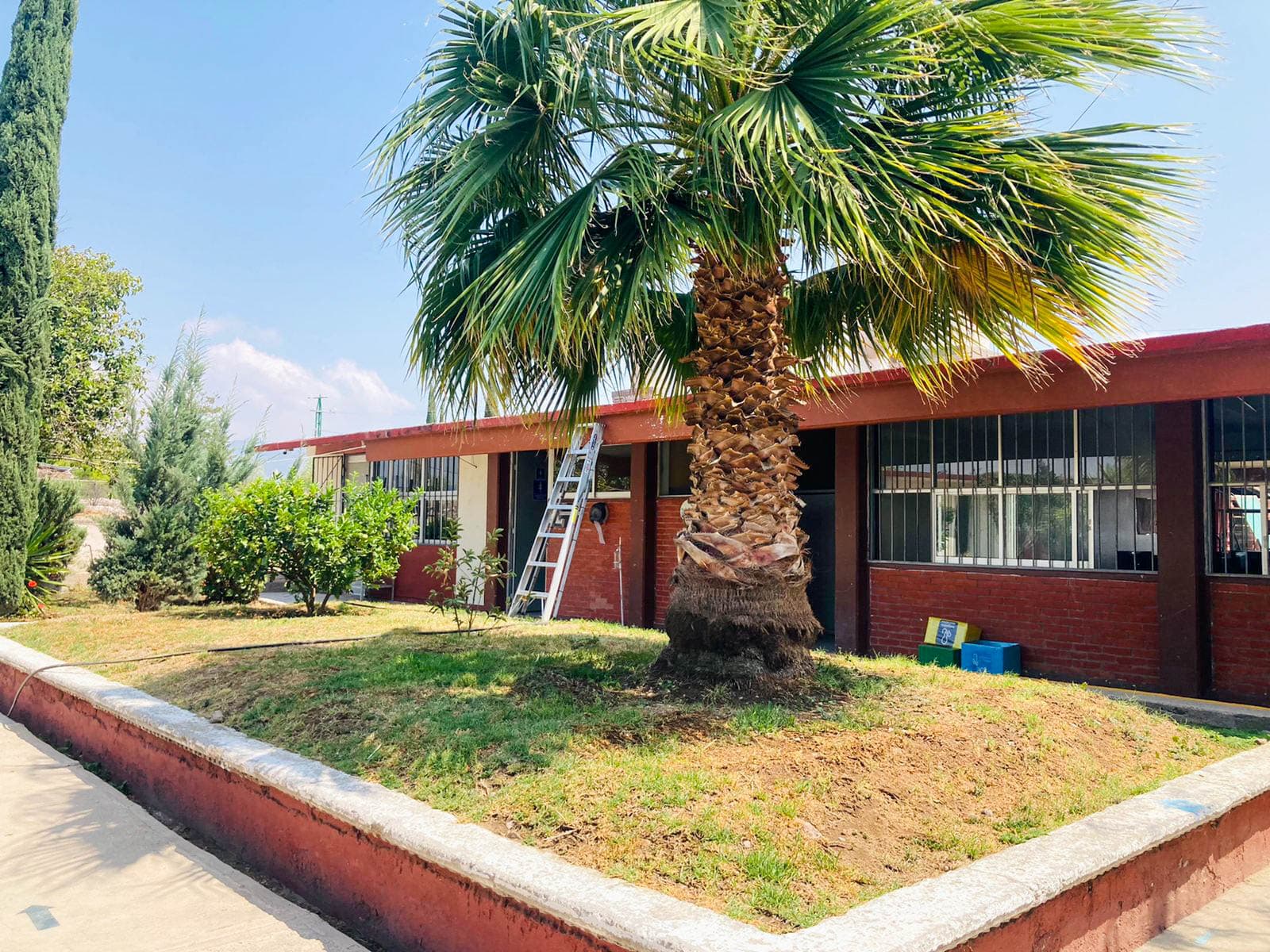 Imagen de El Mirador Capula