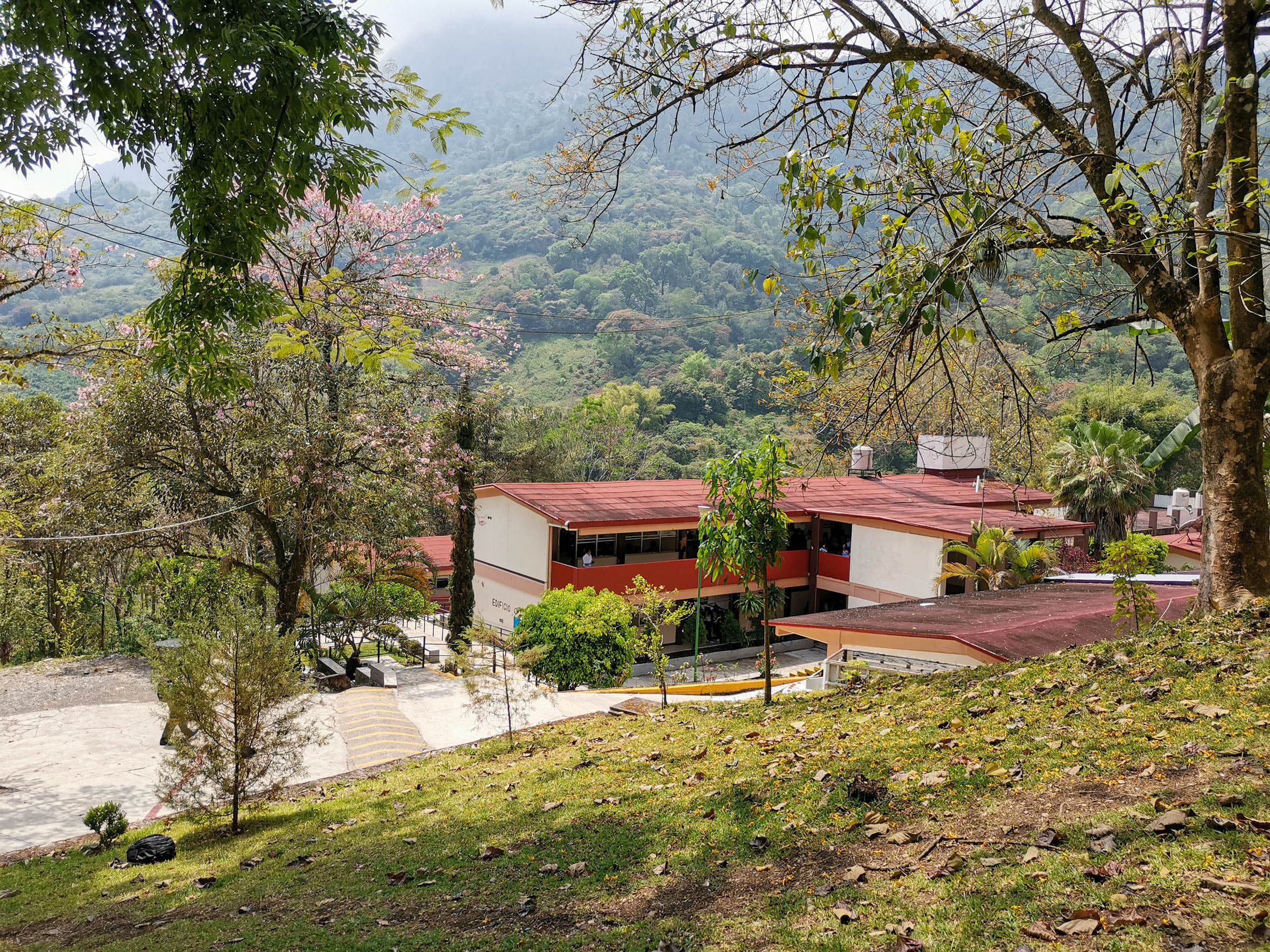 Imagen de Tepehuacán